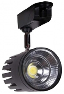 LED Ray Spot 30W